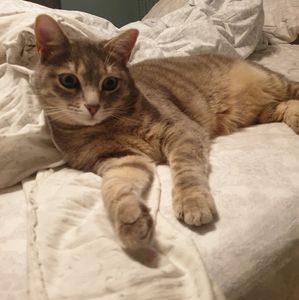 Meet your Posher, Alena